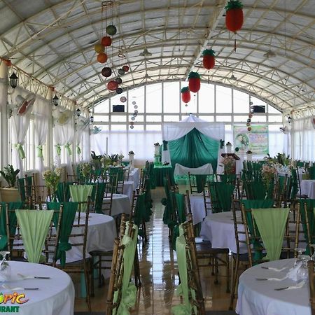 Island Tropic Hotel And Restaurant Alaminos Εξωτερικό φωτογραφία